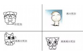 泉山为什么选择专业追讨公司来处理您的债务纠纷？